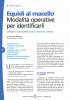 Equidi al macello - Modalit operative per identificarli