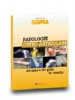 Patologie osteo-articolari del cane e del gatto in crescita