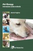 Pet-Therapy