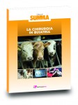 La chirurgia in buiatria