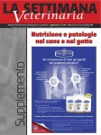 La mastite, una sfida che continua