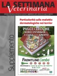 Particolarit sulle malattie dermatologiche nei terrier