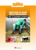 Gestione di base delle patologie nell'allevamento bovino