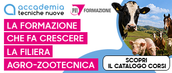 Scopri il catalogo corsi