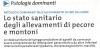 Lo stato sanitario degli allevamenti di pecore e montoni