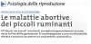 Le malattie abortive dei piccoli ruminanti