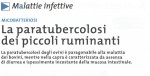La paratubercolosi dei piccoli ruminanti