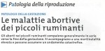 Le malattie abortive dei piccoli ruminanti