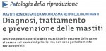 Diagnosi, trattamento e prevenzione delle mastiti