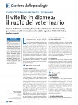 Il vitello in diarrea: il ruolo del veterinario