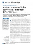 Meteorismo e coliche del vitello: diagnosi differenziale