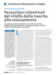 Parassitosi intestinali del vitello dalla nascita allo svezzamento