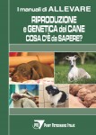 Riproduzione e genetica del cane: cosa c'è da sapere?