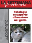 Patologie e supporto alimentare nel gatto