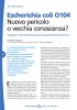 E. Coli O104 - Nuovo pericolo o vecchia conoscenza?