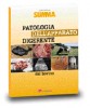 Patologia dell'apparato digerente del bovino