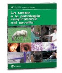Tosse e le patologie respiratorie nel cavallo
